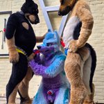 Photo by Thor (@ThorRotti)