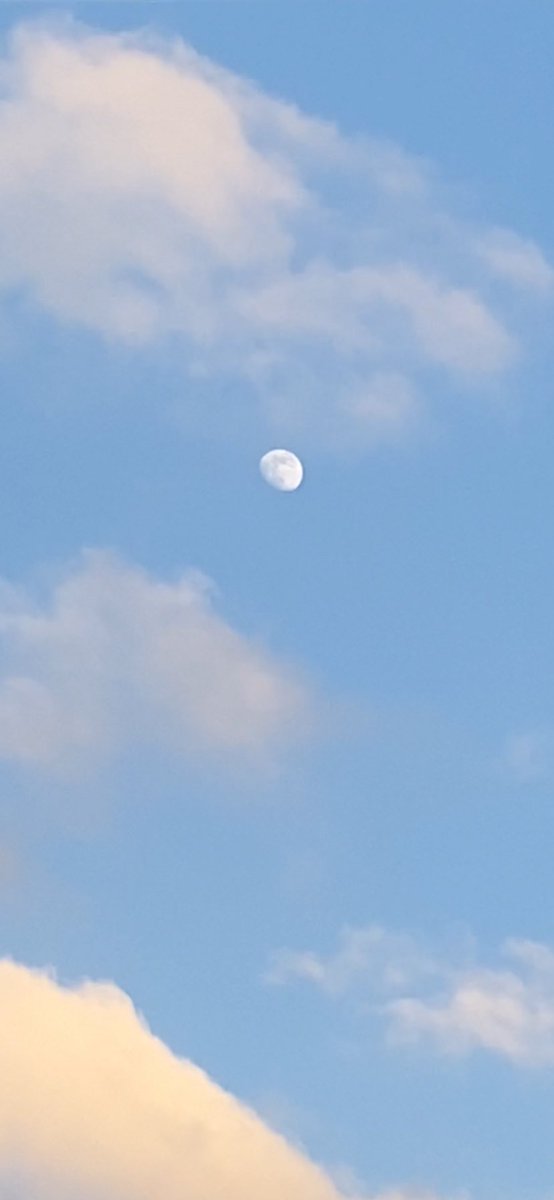 futaba0418's tweet photo. #イマソラ https://t.co/zdp2V9cy2G