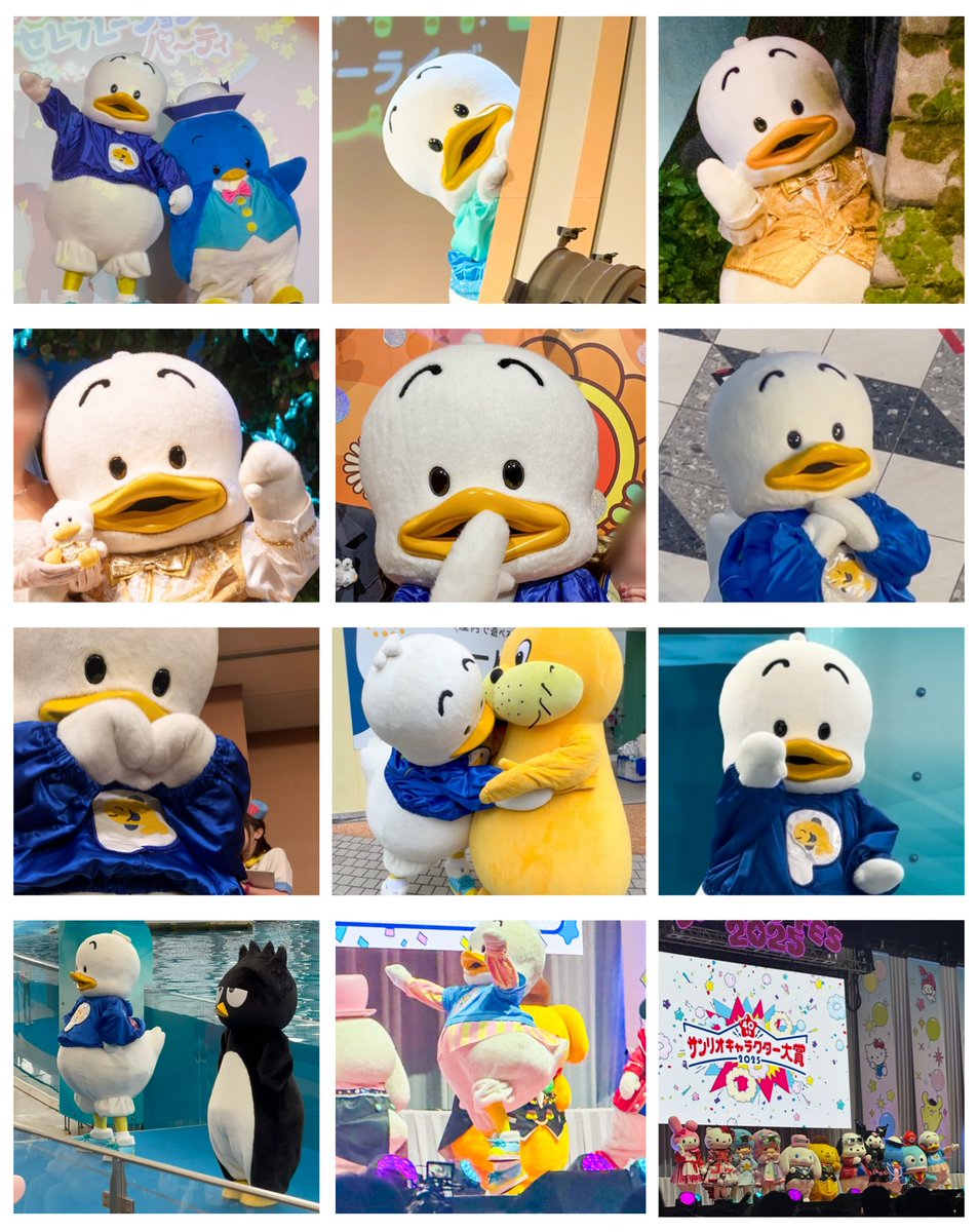 みっちゃん (@pekkle_micchan) / Posts / X