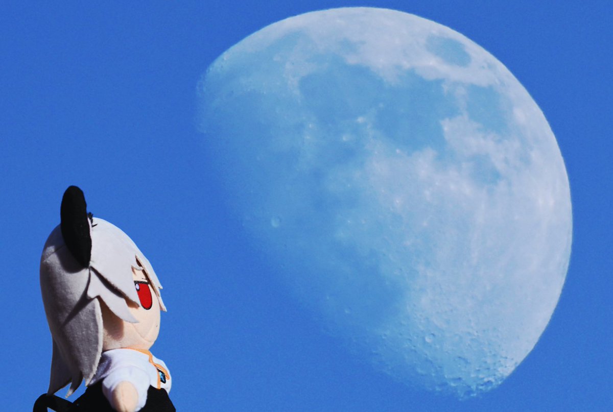 She keeps staring at the moon
(She thinks its made of cheese)