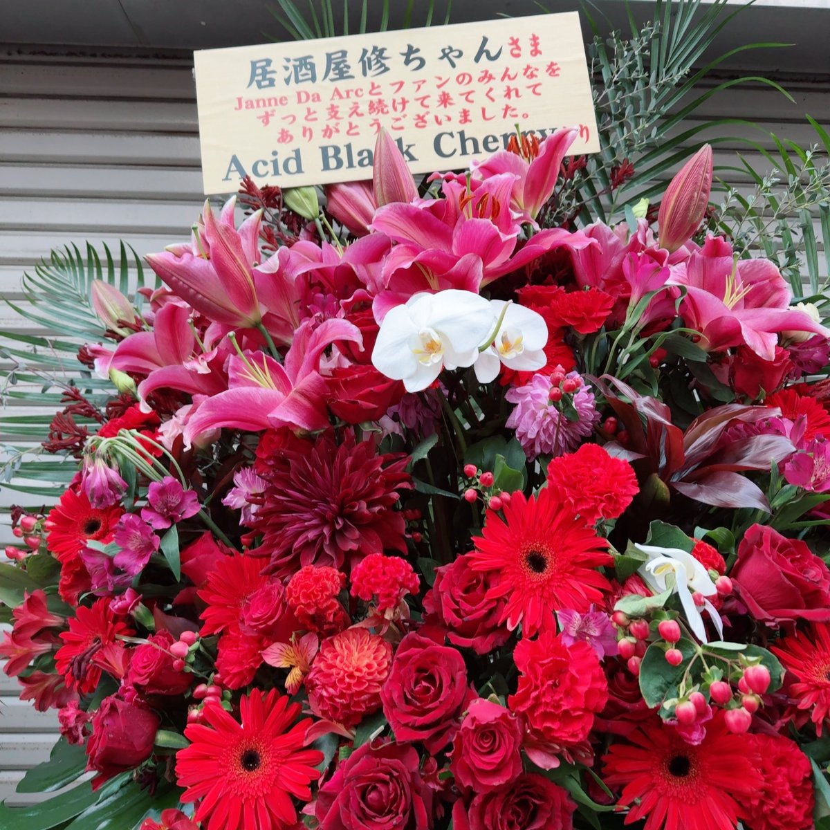 kae_127_yasu's tweet photo. 泣くのは早かった😢😭😢😭

5人揃った！！！！！！ https://t.co/trCEVKtKDA