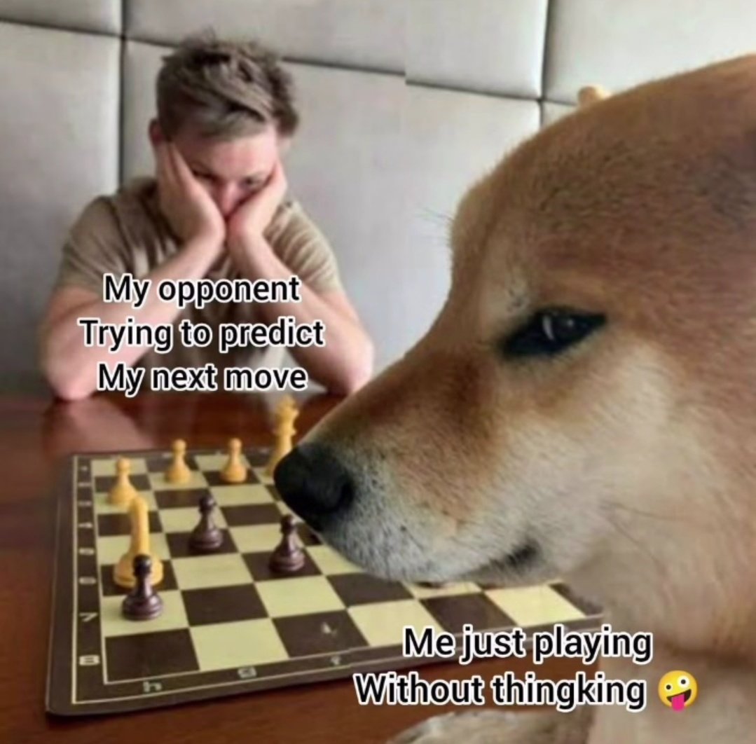 🤣🤣