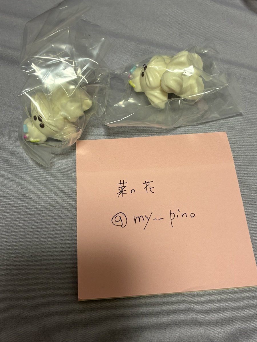 菜の花 tweet media