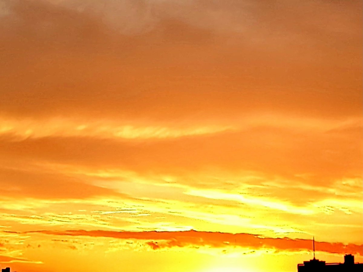 今年繋がってくださった皆様
沢山の素敵ポスト🥰を
ありがとうございました🙇
お天気オバちゃんから
今年最後の
綺麗な夕焼け✨を皆様に☺️
よいお年を
お迎えくださいませ😌