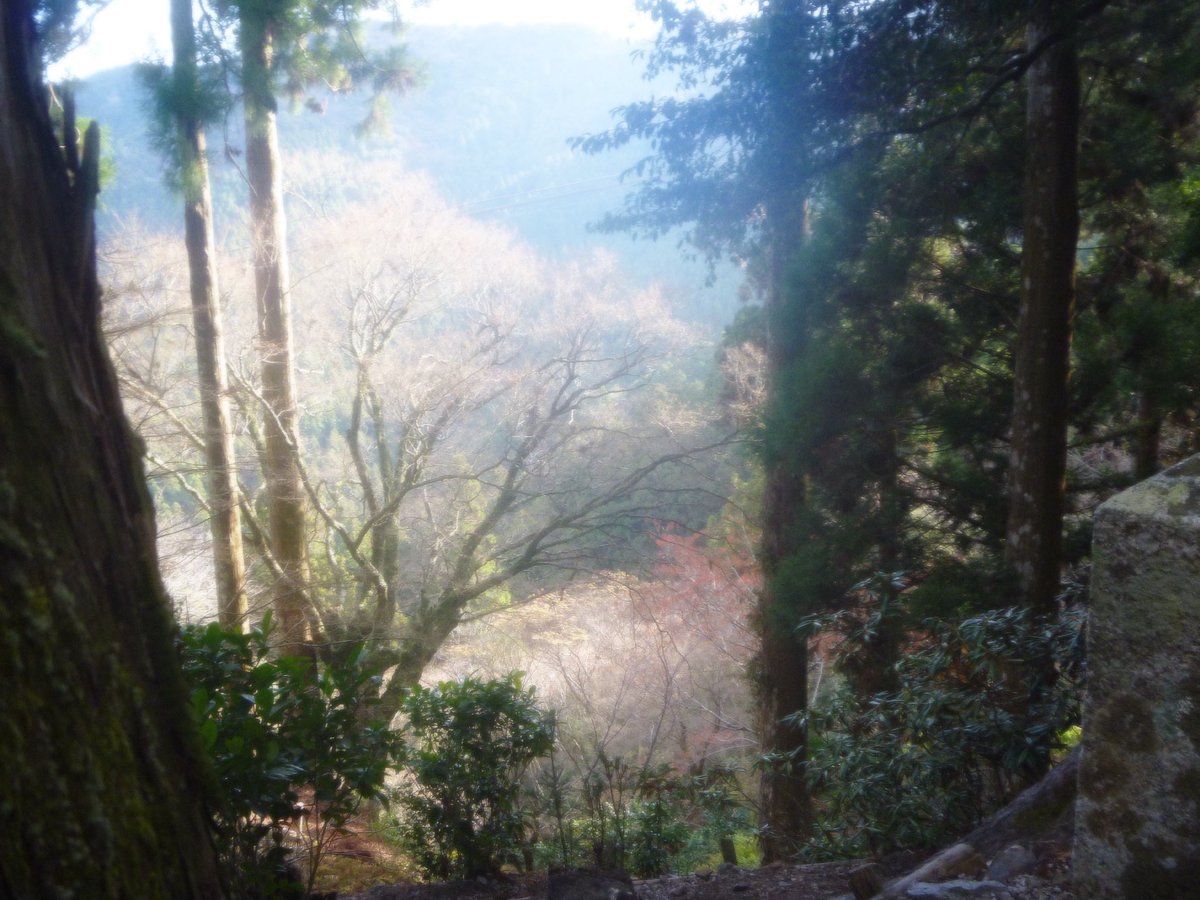 25u (@miniminippi) on Twitter photo 