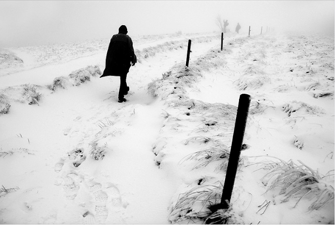 Gerhard Mangott tweet media