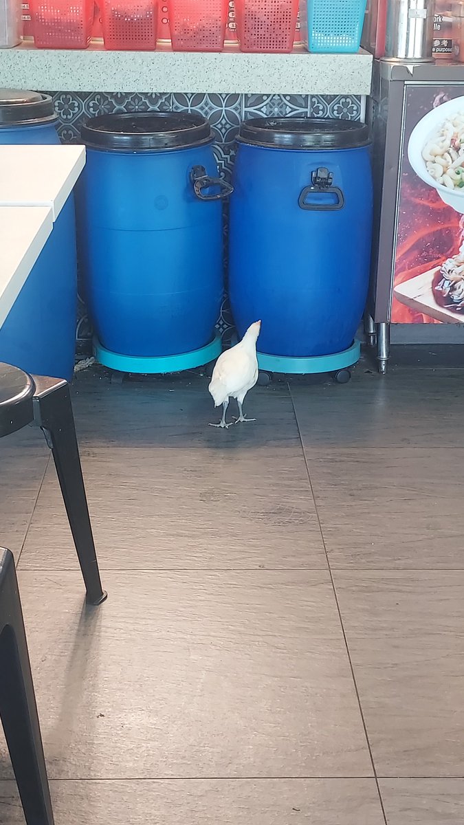 leemontea tweet media