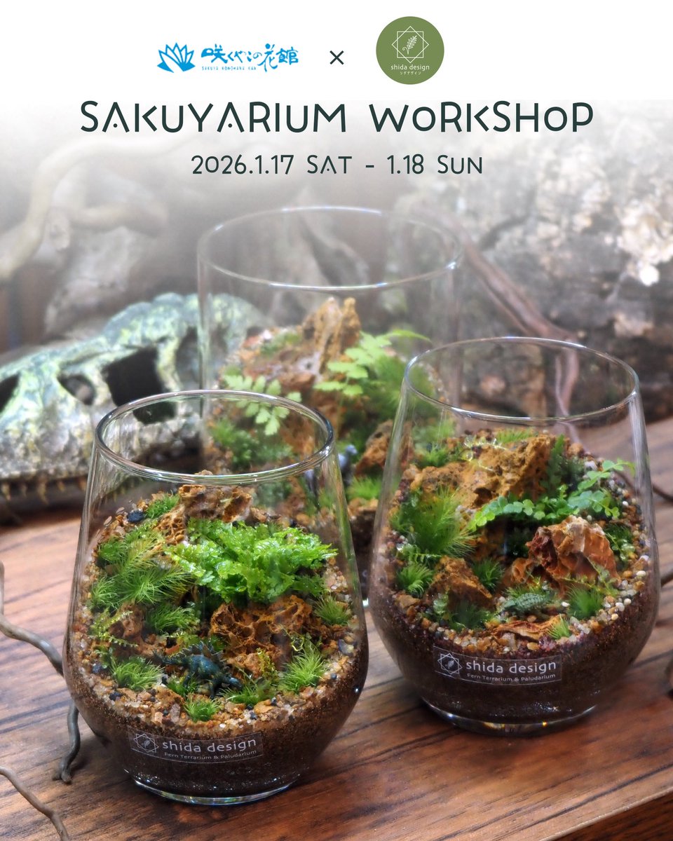 EVENT INFO 𖦥𖥧

Sakuyarium -咲くやリウム-
咲くやこの花館（大阪・鶴見緑地）

シダと苔のテラリウムワークショップ
"太古の森編" 〜恐竜のいる風景〜

▼ワークショップ予約はこちら
tol-app.jp/s/shida-design…