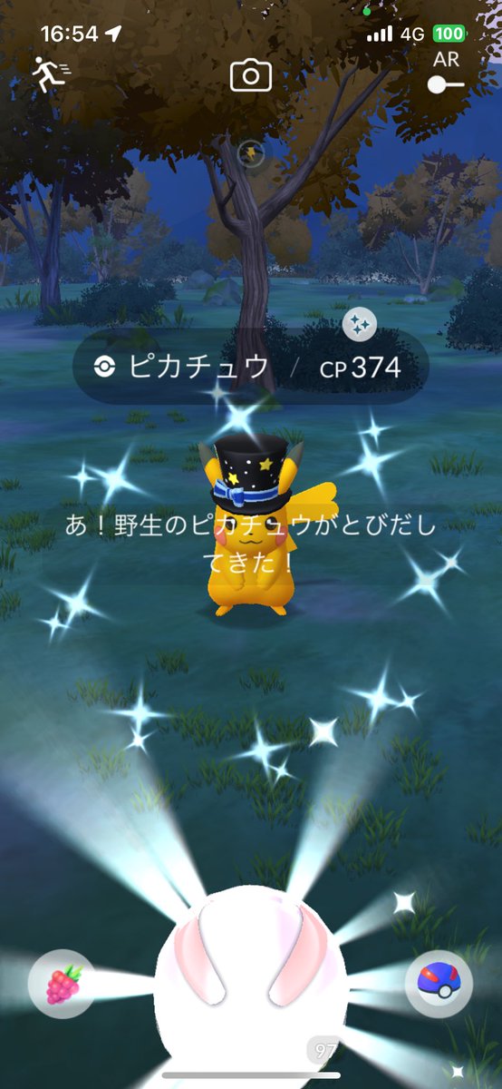 oni_kobu's tweet photo. まさかのピカ様2体キター🤣🤣 https://t.co/bc371oMovG