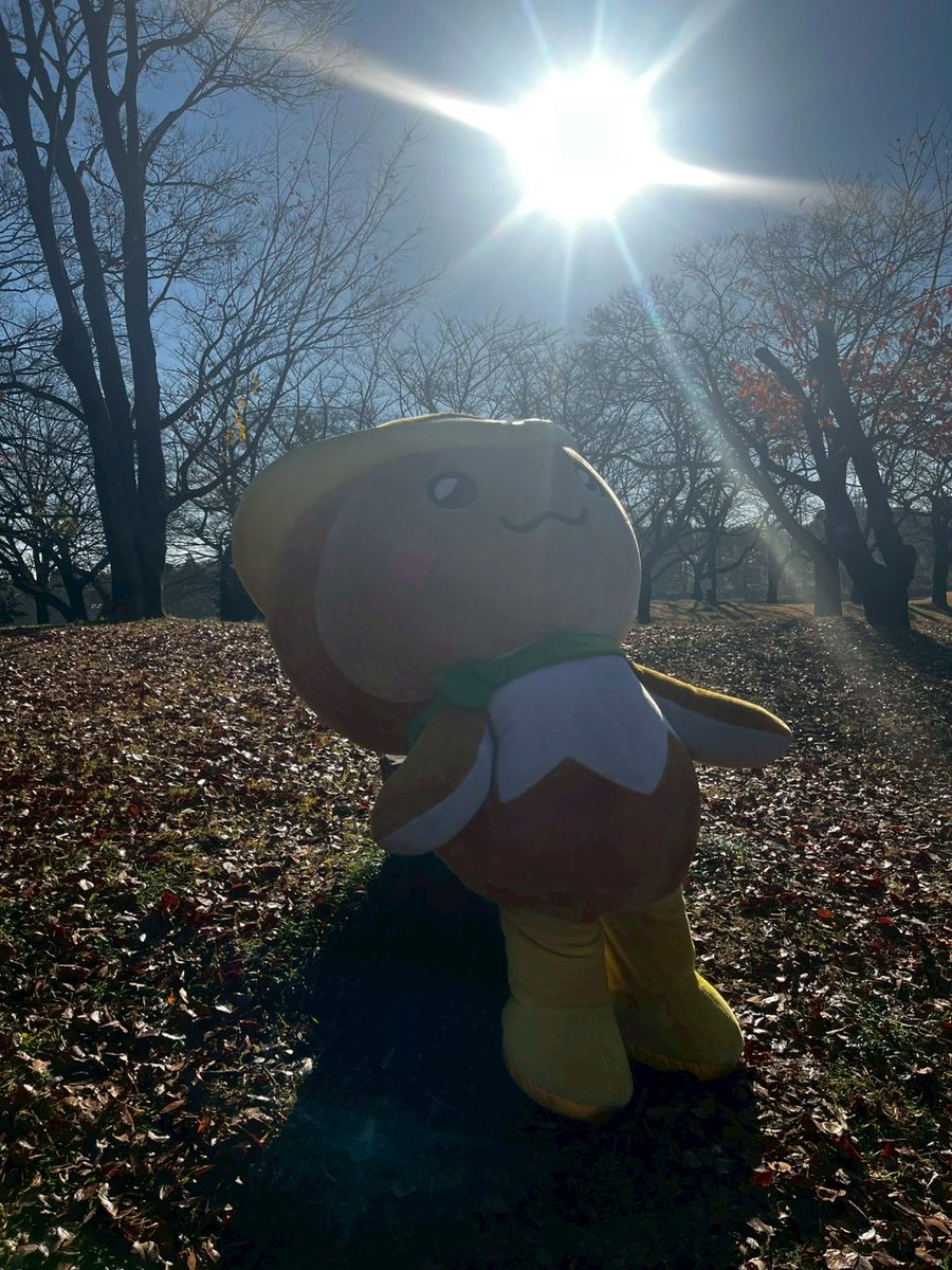 トコろん【公式】 (@tokoron1056) / Posts / X