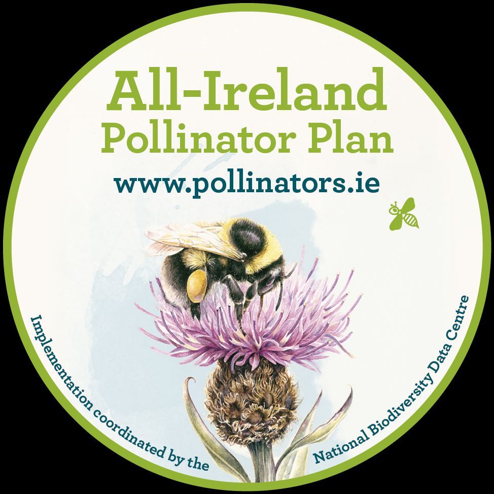 All-Ireland Pollinator Plan tweet media