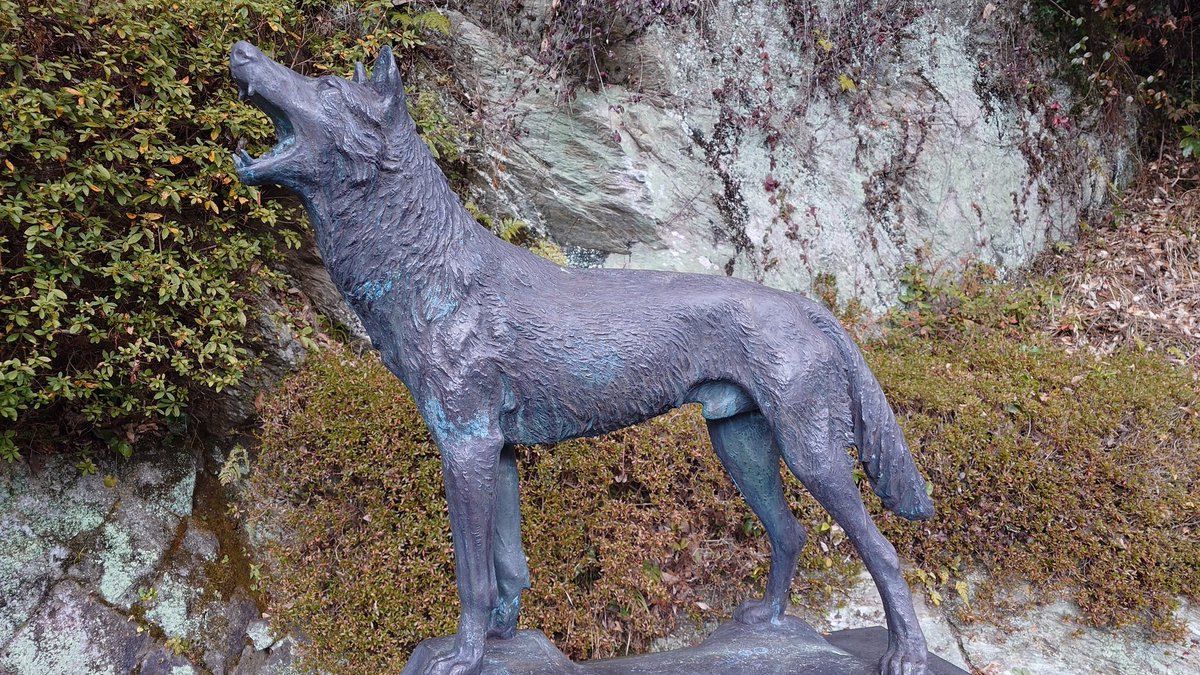 Post by くまおおかみ＝華牙狼 on X: 参拝