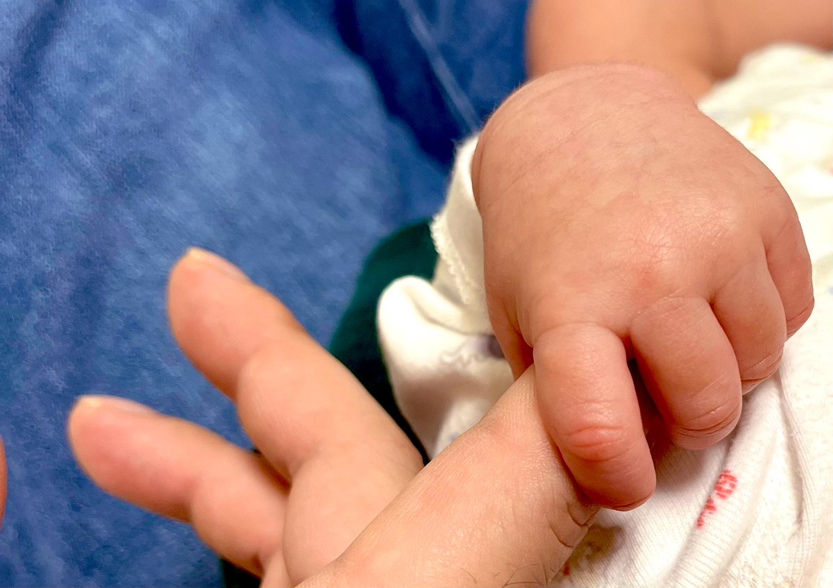 大晦日に幼なじみの赤さんと触れ合って来ました。
メロメロにされました。
今後は叔父活して、甘やかします。

ちぃちゃいおててでぎゅっとされるの幸せすぎてやばかった……