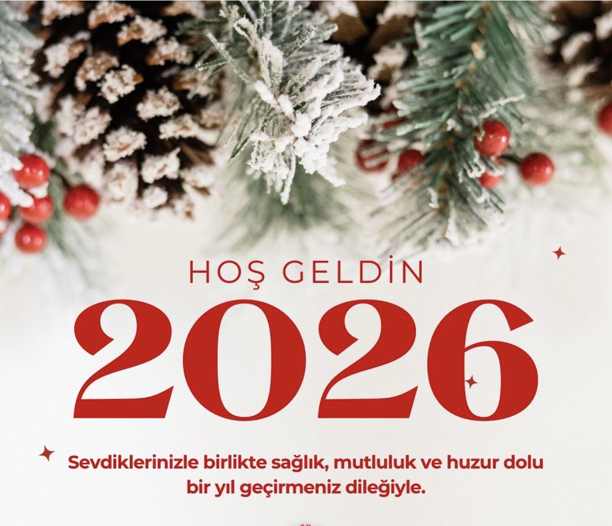 EDİRNENİN USTASI (ALFA ERKEK) tweet media