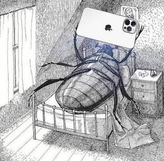 orjin posttan daha fazla like almış bizim ülkede herkes direkt şu