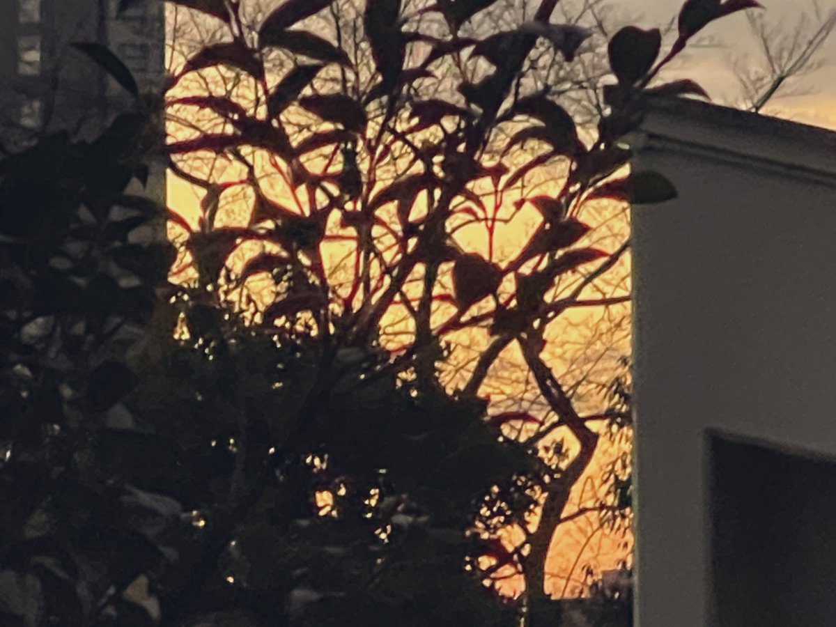 日本人は、「初日の出」をありがたがることに必死で、「ラス日の入」にお礼を言うことを忘れすぎている。