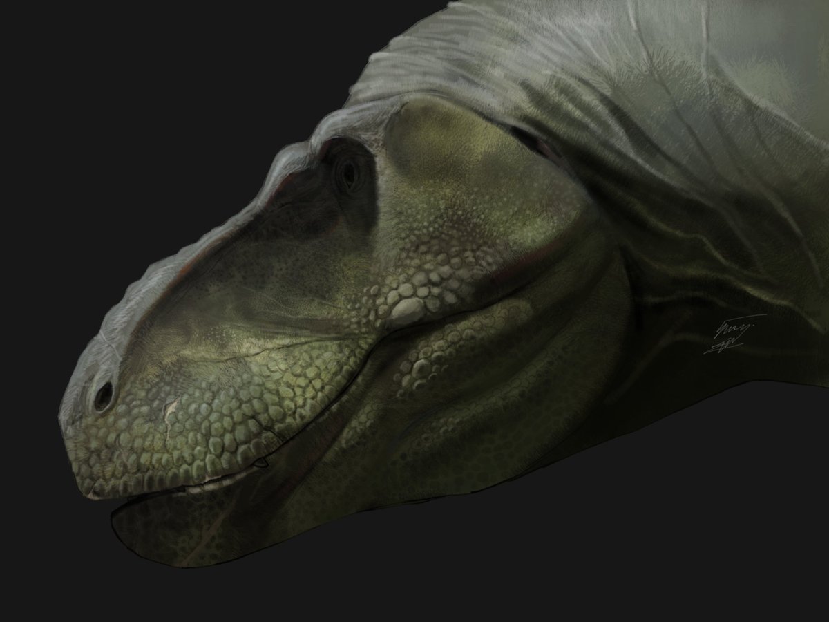 salmonartist1's tweet image. "Last of their kind" #tyrannosaurus 
My last art in 2025, this is a questionable year but who's care