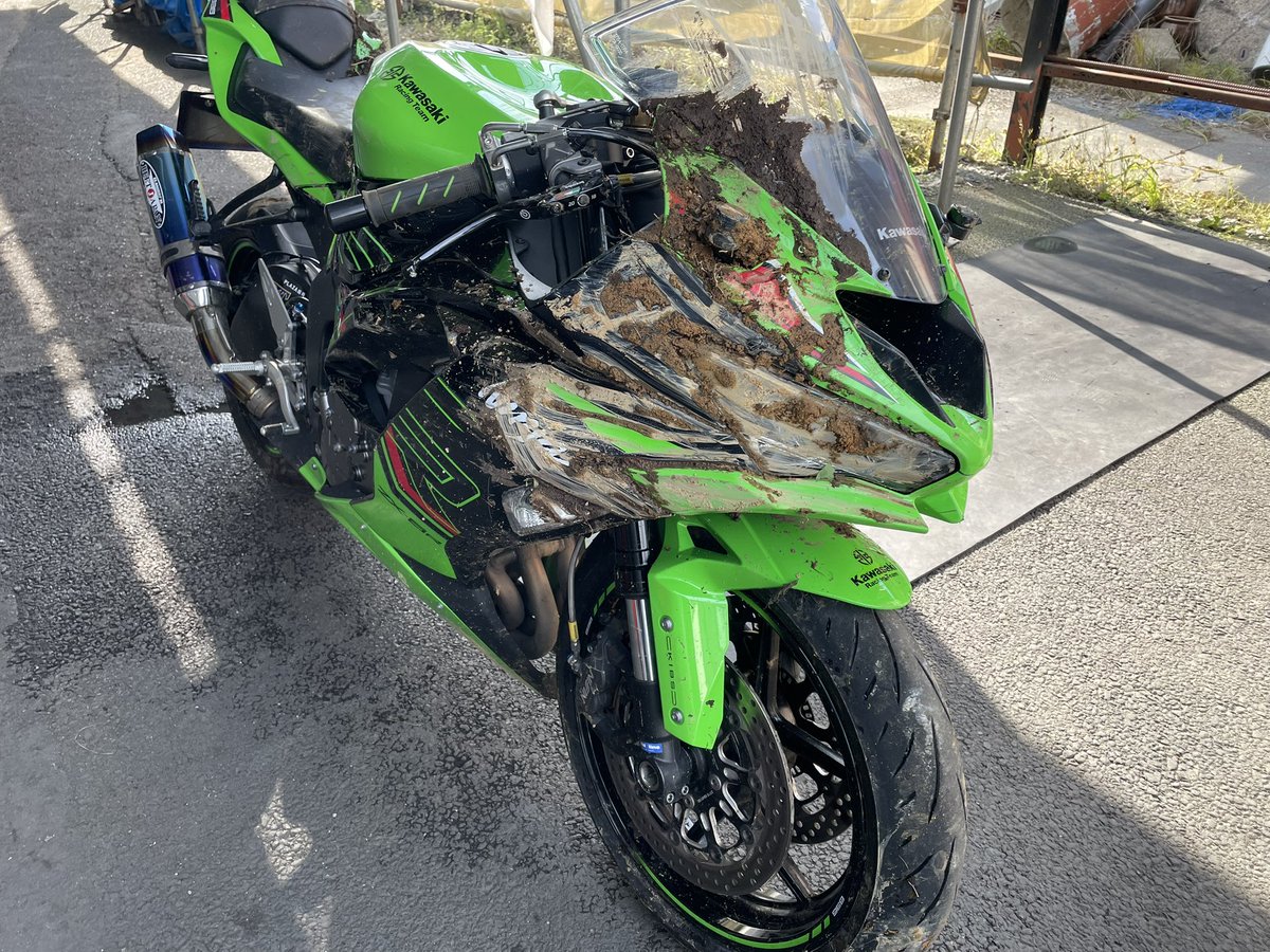 くま のらくま (@alleybear14) / Posts / X