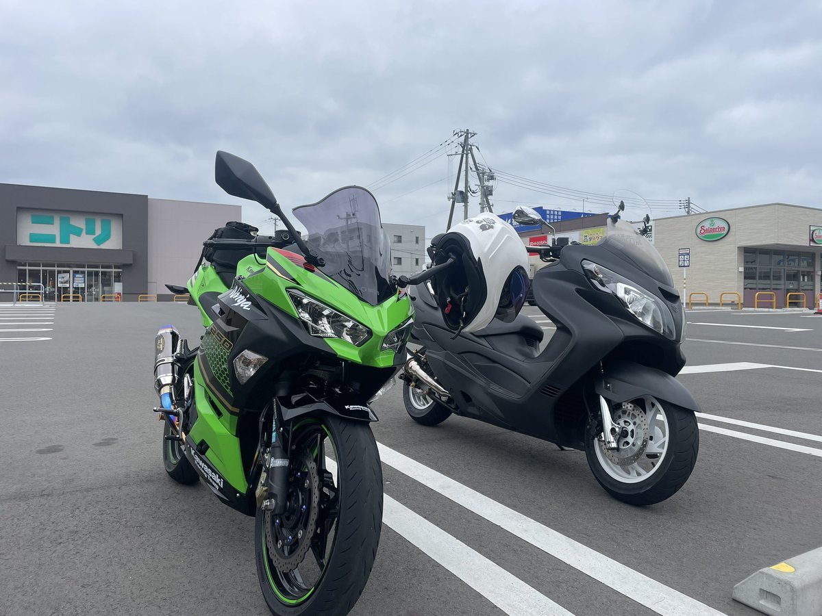 のらくま (@alleybear14) / Posts / X