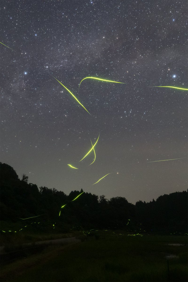 man_ten_bo_shi's tweet image. 【2025年を振り返り～能登の星空～】
今年も能登の美しい星空を見ることができました。
2026年も少しずつ能登の星空の写真を投稿していきたいと思います。
①冬の星座と漁火光柱
②ホタルと天の川
③見附島とニンフィア
④真脇遺跡の環状木柱列