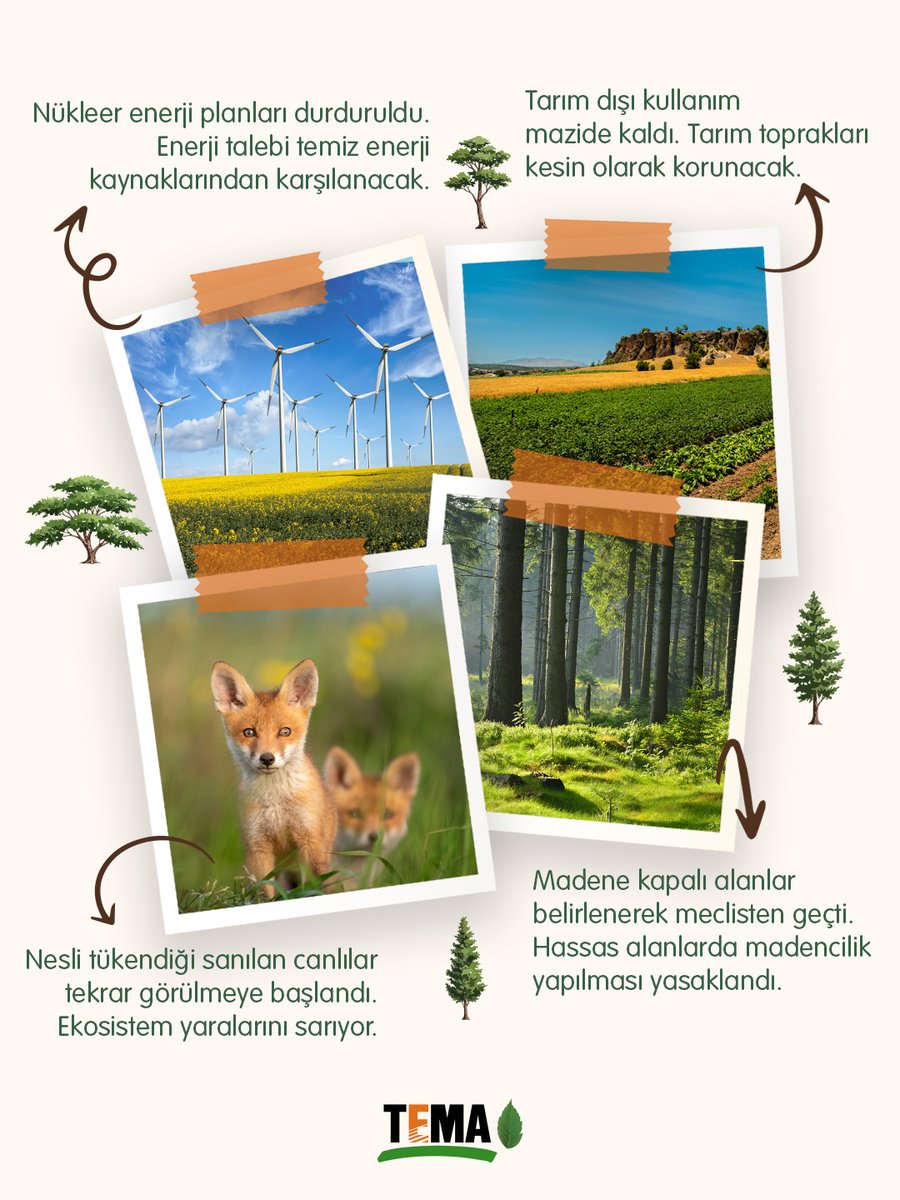 2026 Hayalimiz 🌱

Toprağın nefes aldığı,
suların  çoğaldığı,
ormanların ve tüm canlıların güvende olduğu bir yıl...

Birlikte hayal ediyor, umut yeşertiyoruz.

#YeniYıl #HayalPanosu #VisionBoard