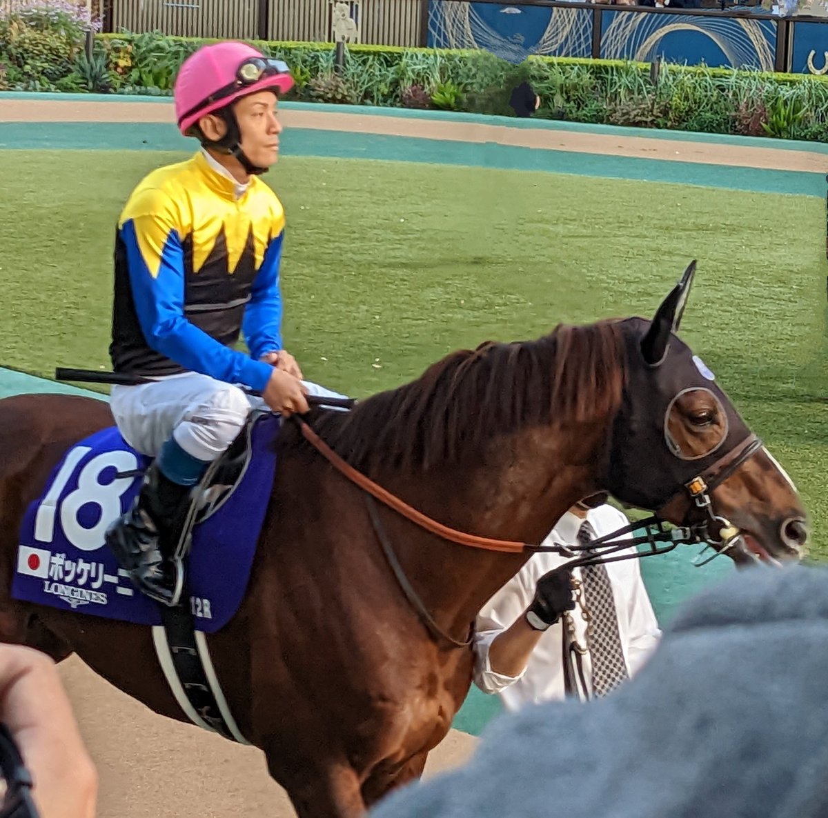 メイショウハリオ