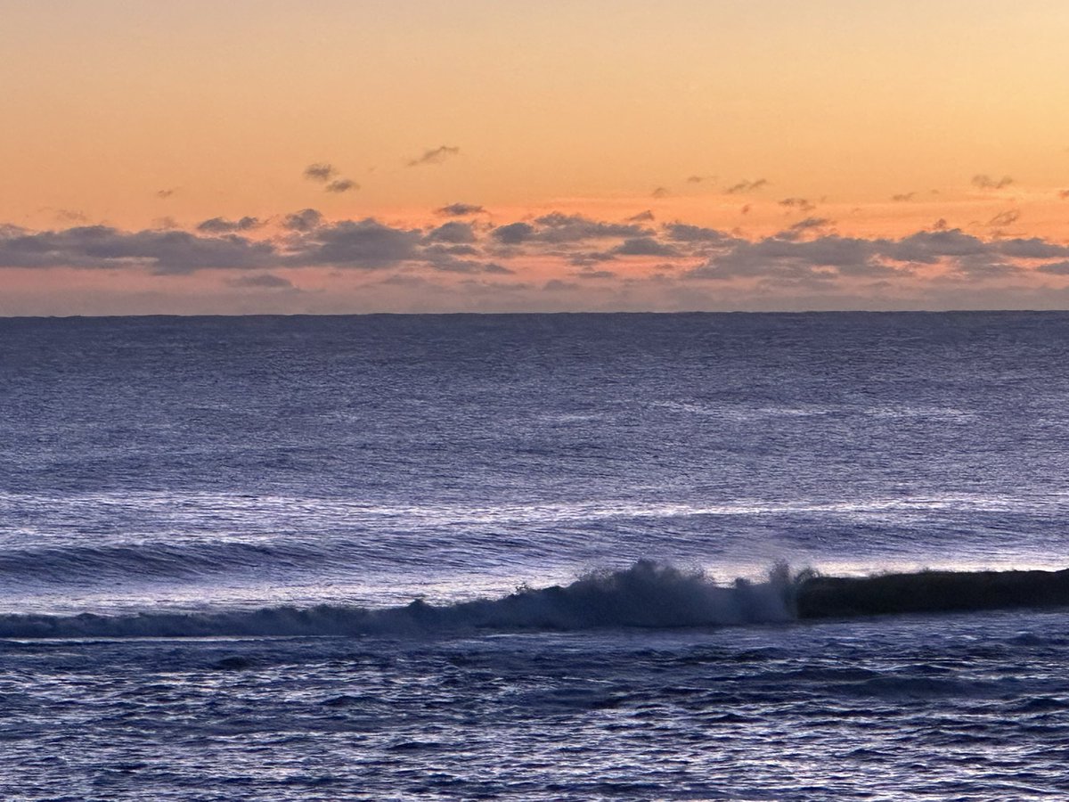 31st December 2025  08.01