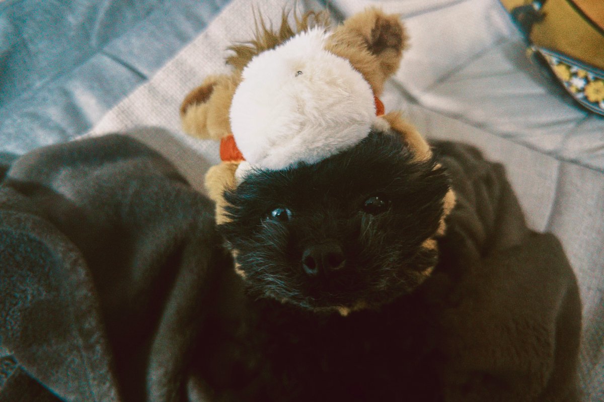 みんなと犬のお陰で生き延びられたよ

2025👋👋👋