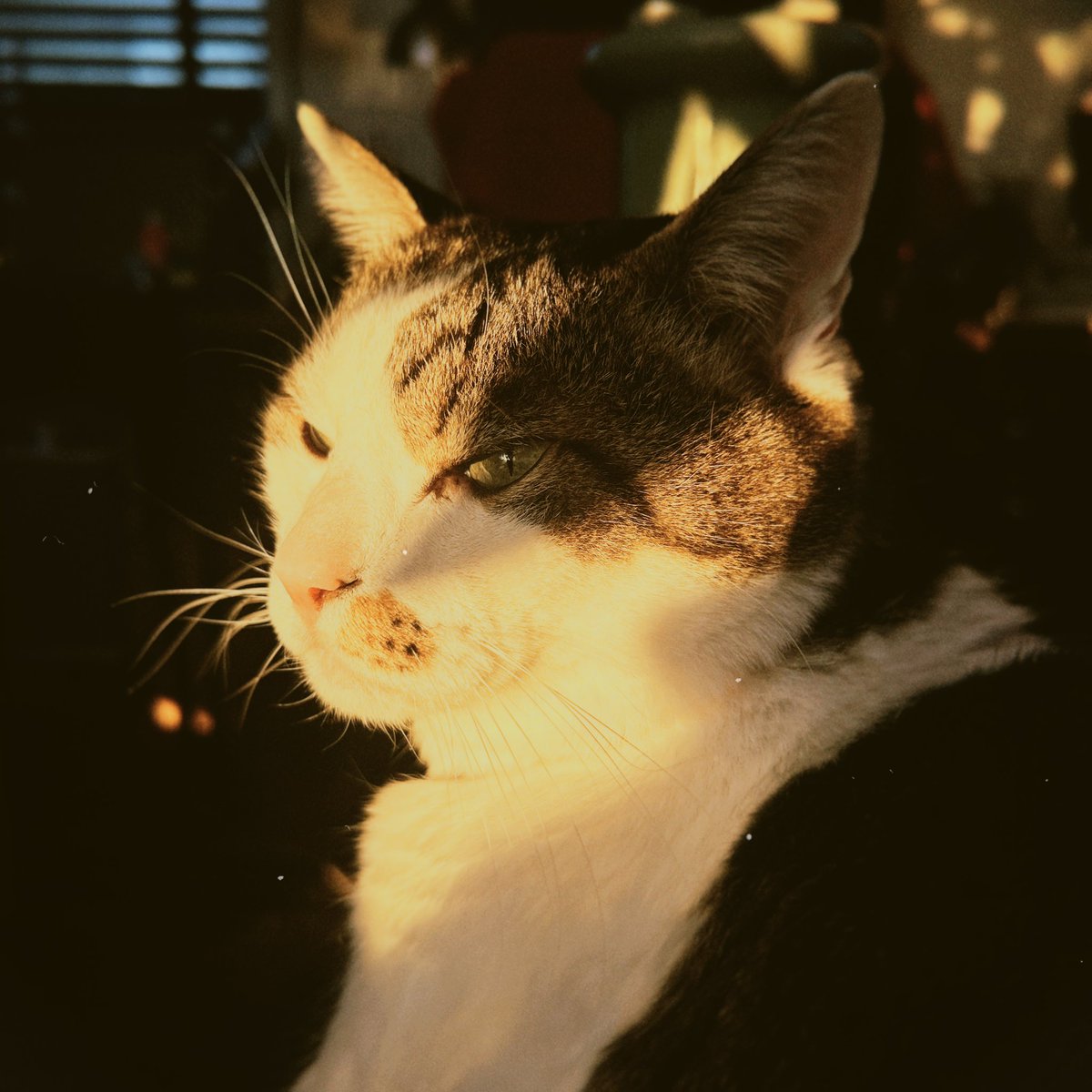 今年もお世話になりました。
全然仕事収まらずで散らかってますが最後まであきらめずにがんばります。