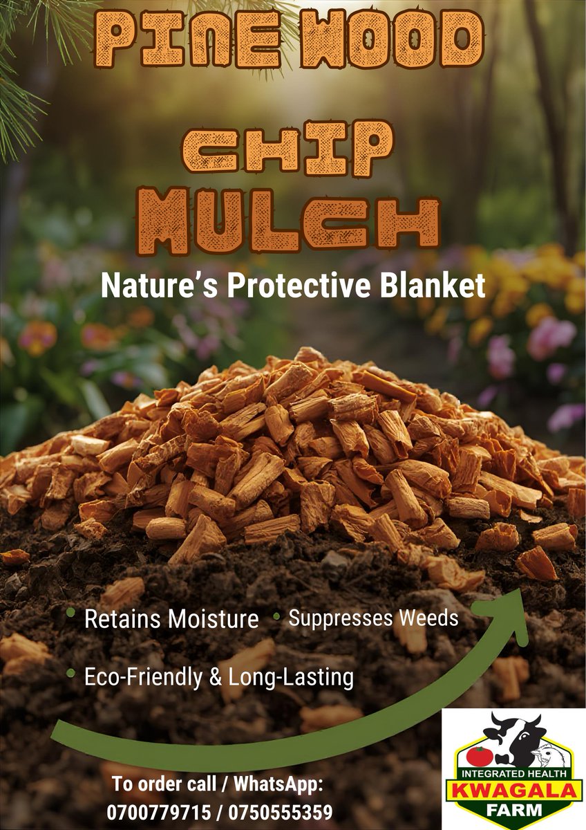Pine wood chips- a natural solution for mulching. It locks in moisture, suppresses weeds, regulates soil temperature, and nourishes the soil, all while protecting against soil erosion.

Healthy soil. Strong plants. Beautiful results.
For orders, call: 0700779715
#WoodChipMulch