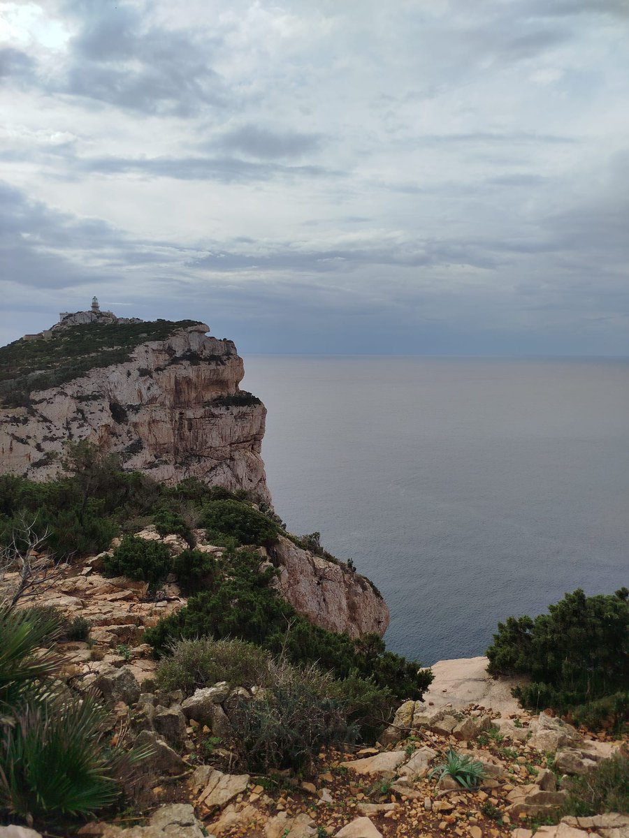 flavio_stochino's tweet image. Proud of a year of research with amazing colleagues and students.
Our recent work explores sustainable materials, structural resilience, and safer infrastructure, from recycled concrete to fire and blast performance.
#StructuralEngineering #Sustainability #Research #Resilience