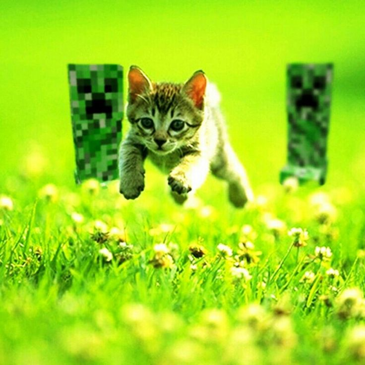 Me when I die and go to heaven