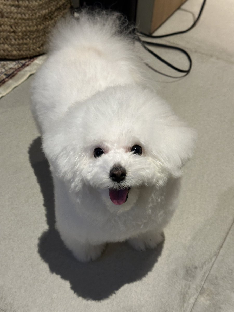 hkr_jgimsld's tweet image. お気に入りの友達が年越しに来たため、特大笑顔に