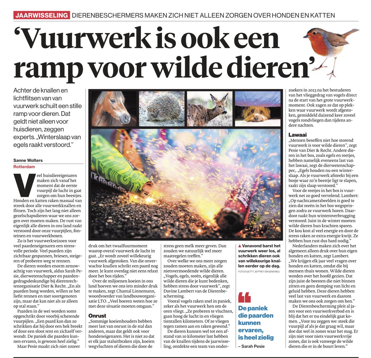 Wilde dieren: Wat is mierezuur? (1994) - Atlas - LastDodo, image size:1200x1160