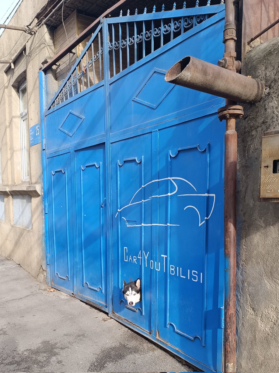 Altlead's tweet image. Машинку?