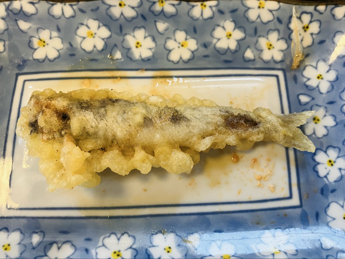 年忘れに湯本まで海鮮を食べに来ました。予約必須の有名店・海幸、定食もすごいボリュームでした。そして名物のメヒカリ、まさに別格の美味しさ…！
三ヶ月分くらいの海の幸を食べたので、これで来年も健康でいられそうです。
みんなよいお年を！