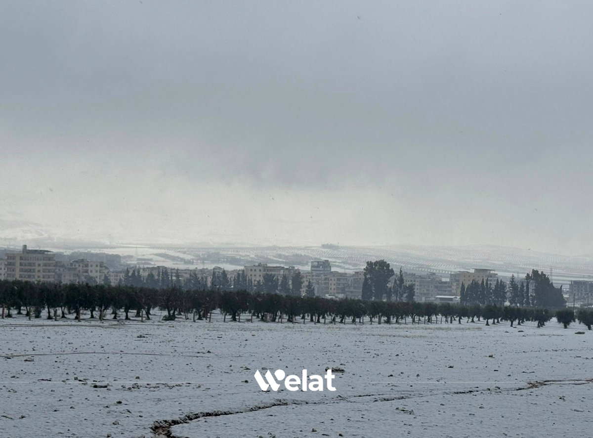 WelattvKu's tweet image. 📸 Berfê Efrîn spî kiriye
#Efrîn
#Berf
#WelatTV