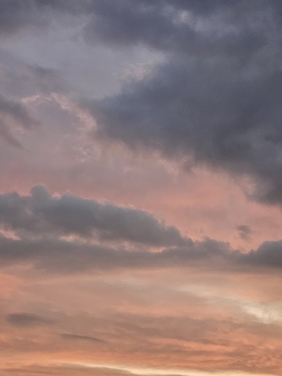 今年は学会に出させていただいたり、大学院を見学させていただいたりと、ご縁と機会に恵まれた1年でした。
ありがとうございました。
みなさま良いお年をお迎えください