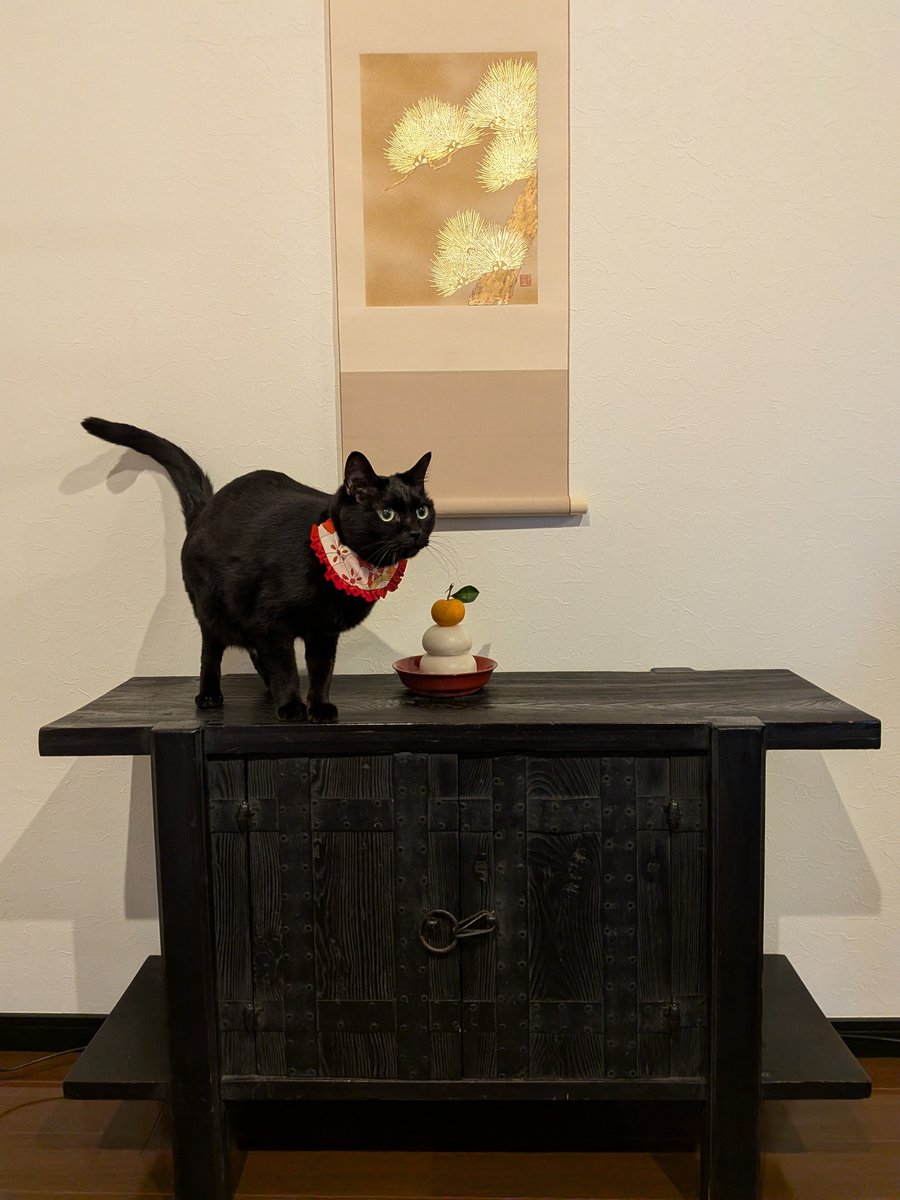 きのこのこのこ (@kinoco_neco1234) / Posts / X