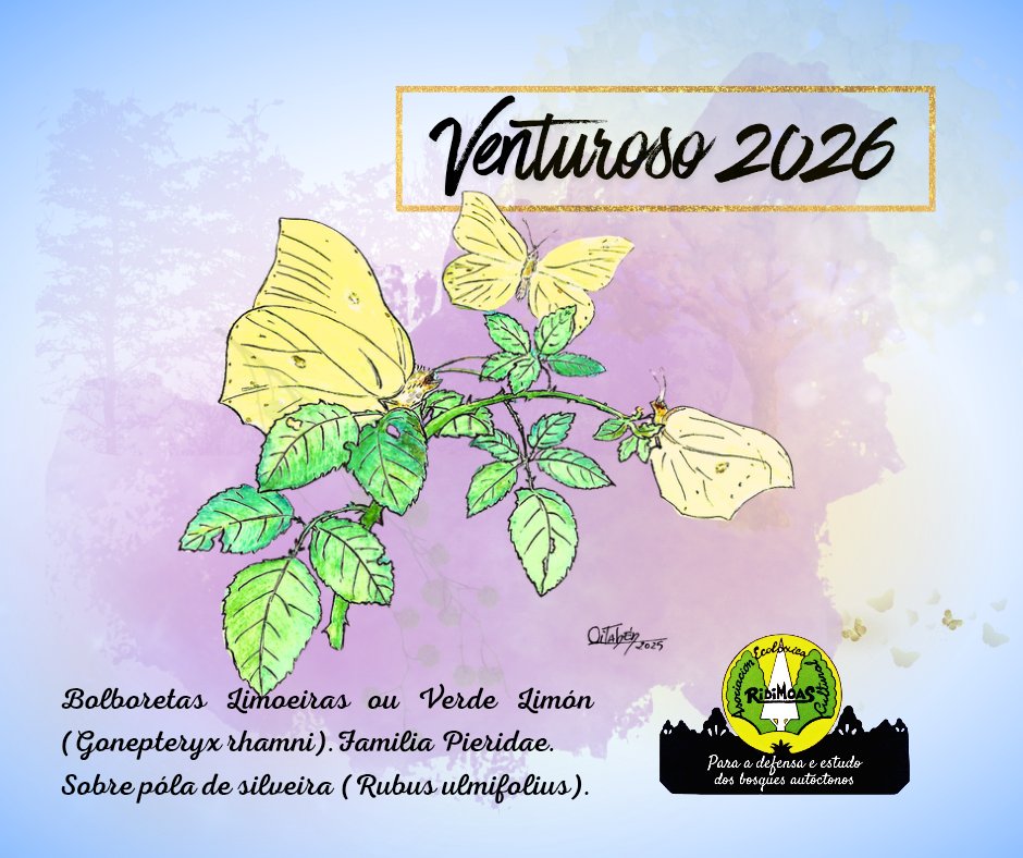 Asociación Ridimoas tweet media