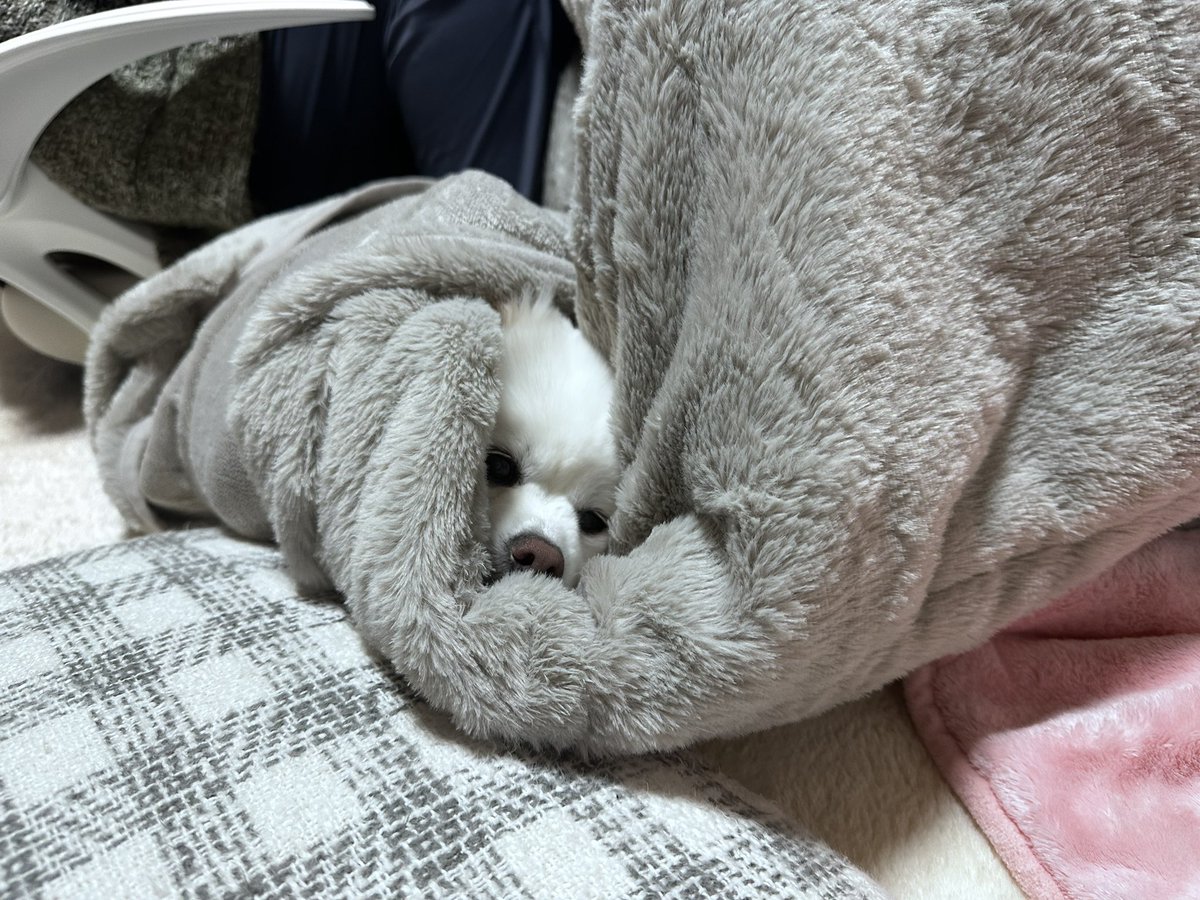 kotaro20180425's tweet photo. 2025年もありがとうございました😊 https://t.co/4A4ZM4mID7