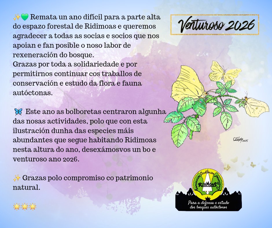 Asociación Ridimoas tweet media