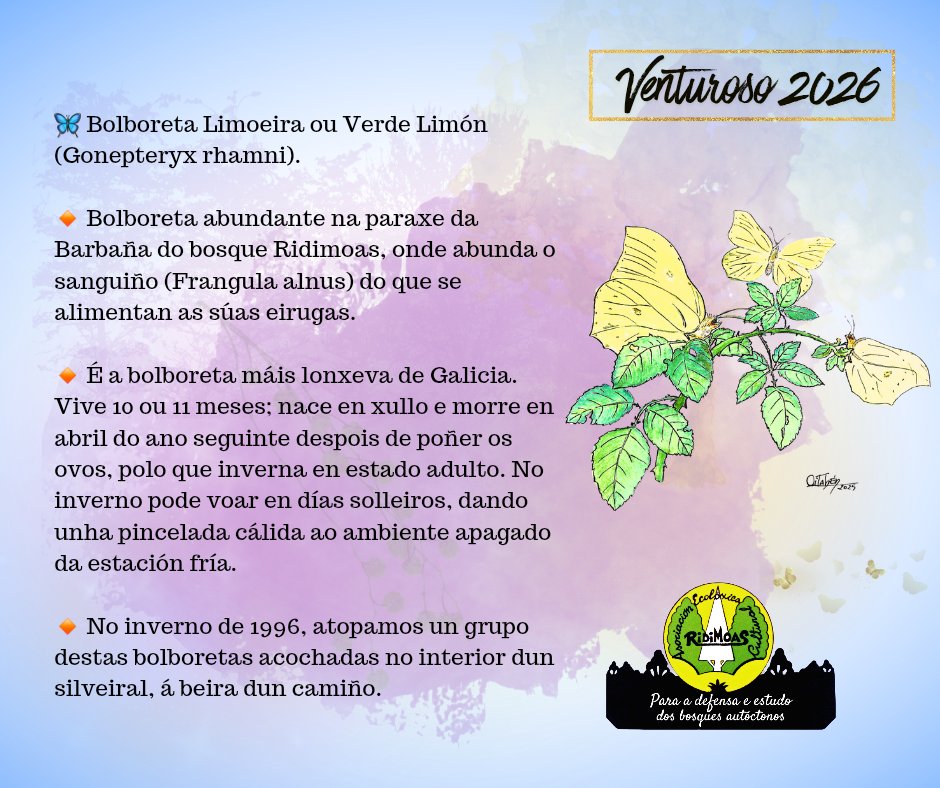 Asociación Ridimoas tweet media