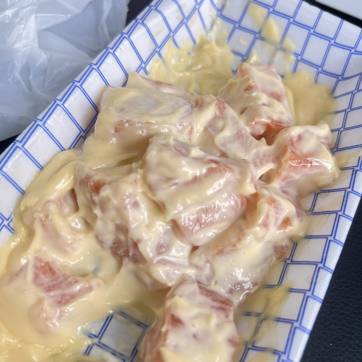 ECHO 🪐 tweet media