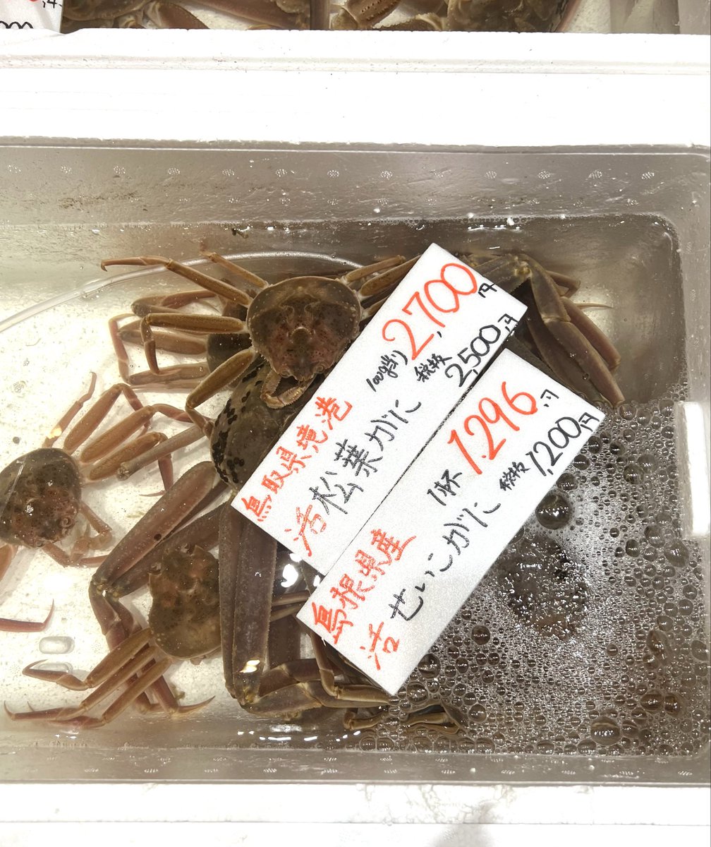 稲垣亜衣 フェニカ 稲垣亜衣 フェニカ 稲垣 亜衣｜選手名鑑｜SOFT DARTS PROFESSIONAL