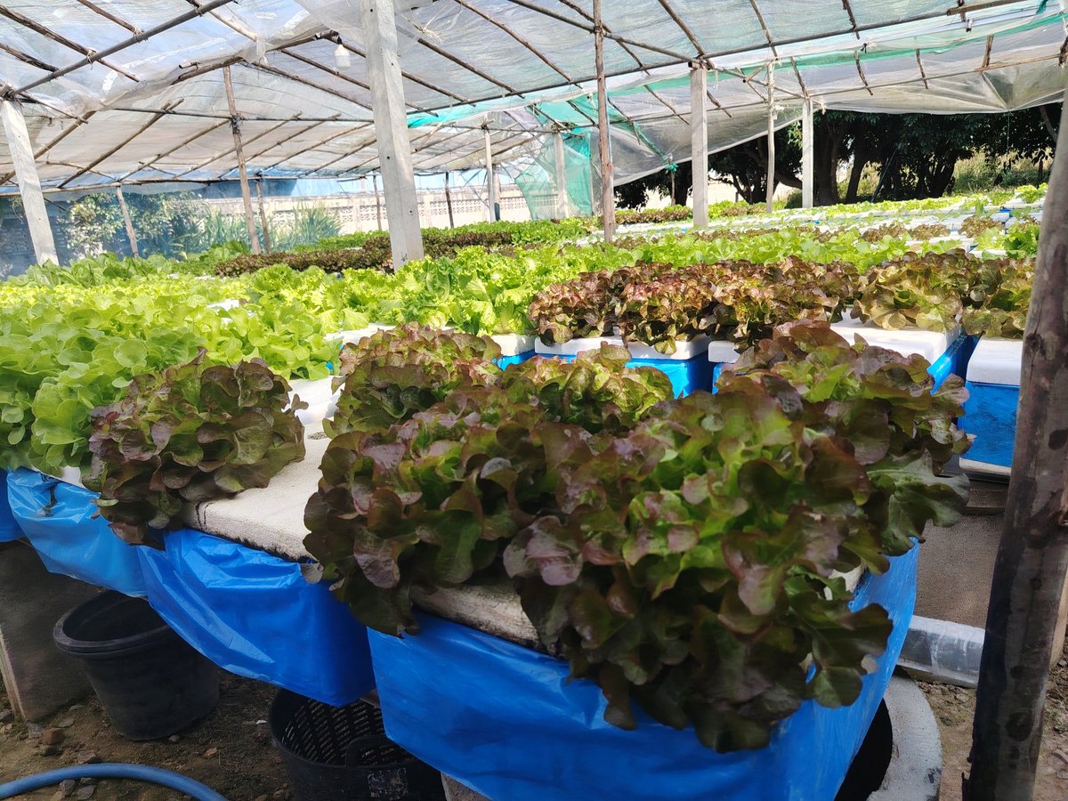 ทานแล้วมีประโยชน์  "ผลัก" กันมั้ยคะ
#LGBTIQ #เลสเบี้ยน #สตรีหมายเลขสี่ 
#พิษณุโลก #พิจิตร