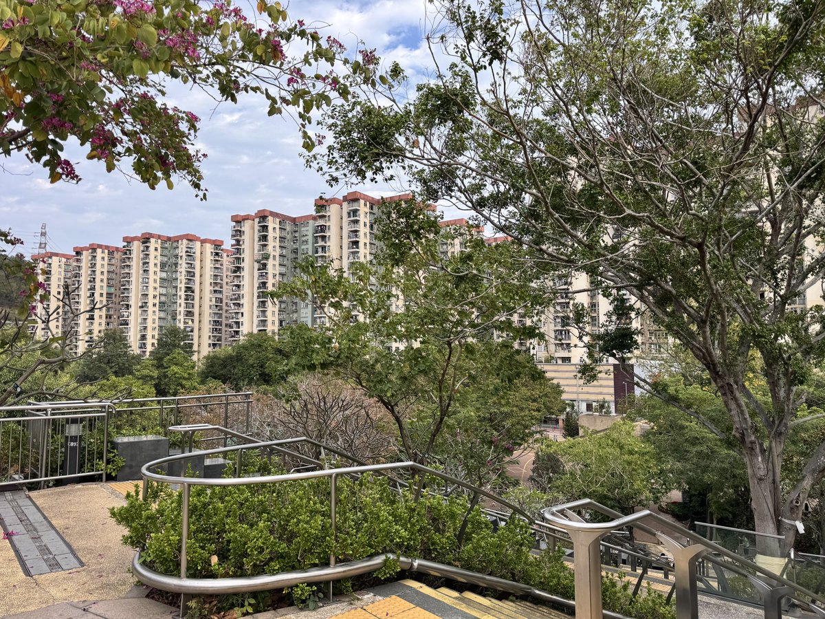 Post by 루시퍼 on X: 닭장시티 홍콩