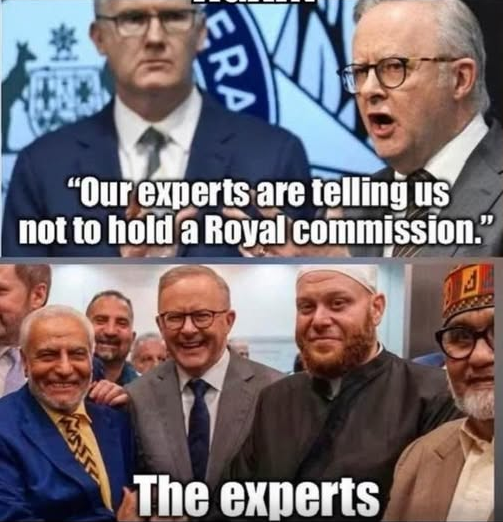 THE NUMEROUS EMINENT EXPERTS SUPPORT A ROYAL COMMISSION INTO ANTISEMITISM &amp; THE ISLAMIC JIHAD TERROR AT BONDI BEACH

So what sort of experts does the PM rely upon to reject the request?