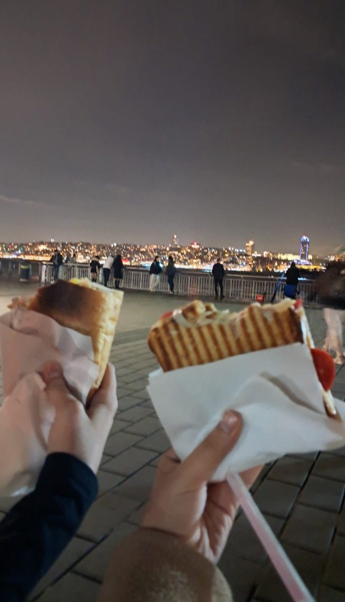 Elveda 2025… bana çok şey kattın ama en önemlisi benim yılım bu yıl dedirttiğin için teşekkür ederim.🎉#yeniyilinizkutluolsun #YeniYıl #NewYear2026 #TheEnd