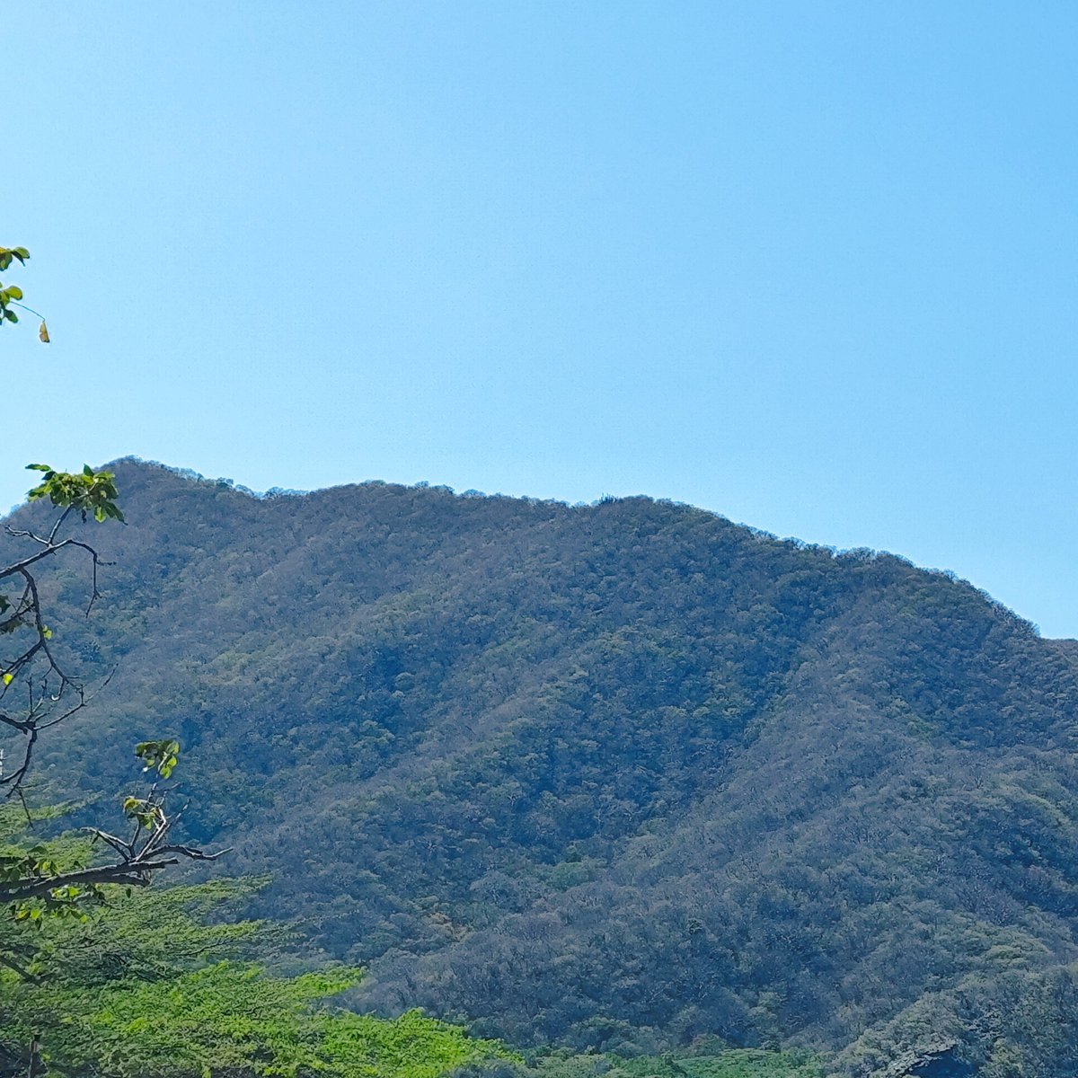 Maira Alejandra tweet media